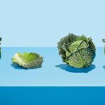 7 Health Benefits of Cabbage