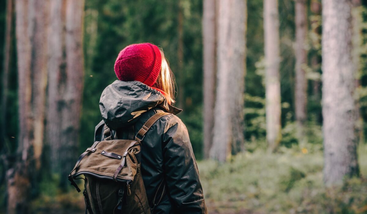 Beyond the red hat: brain networks in premenstrual dysphoric disorder