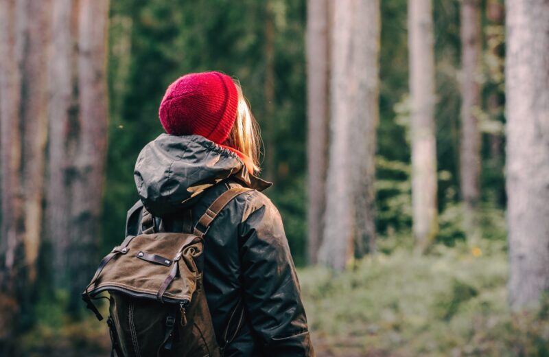 Beyond the red hat: brain networks in premenstrual dysphoric disorder