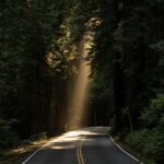 DBT and MBT for BPD with comorbid depression and/or anxiety