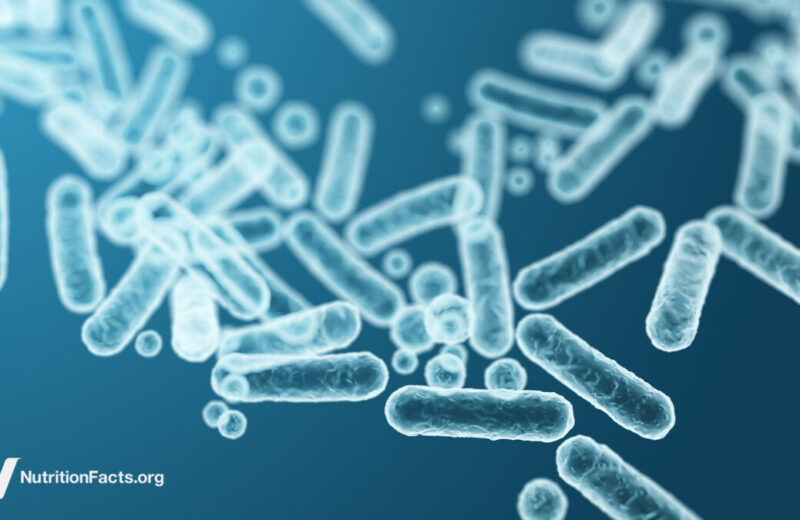 Feeding Our Gut Microbiome for Better Health