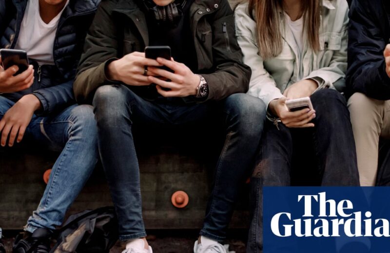 No ‘snowflakes’: mental health review says today’s youth have it harder and harms are real | Young people