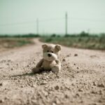 Not all adversity is equal: bullying, maltreatment, and persistent psychotic-like experiences